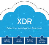 What is XDR: Everything You Need to Know About XDR